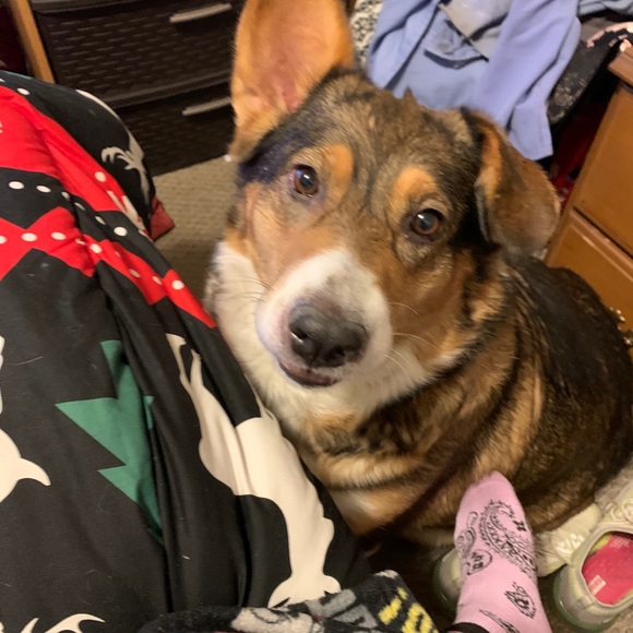 Meet your Posher, Dem! - Picture 5 of 14